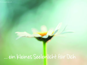 "Seelenlicht"