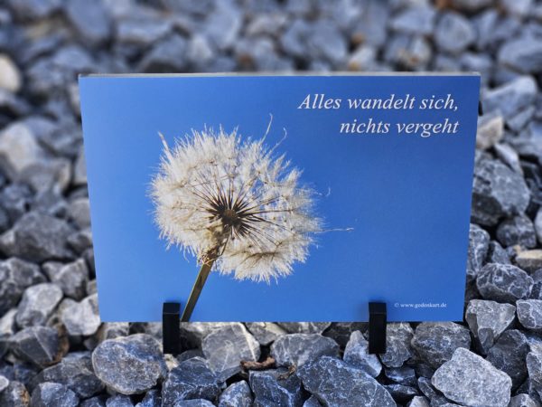 Acrylständer – Bild 2